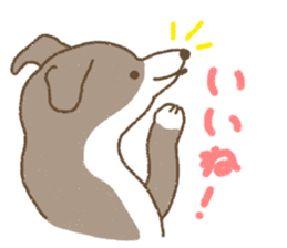Italian Greyhound<Dog breed> sticker #15045703