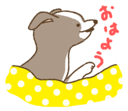 Italian Greyhound<Dog breed> sticker #15045707