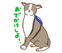 Italian Greyhound<Dog breed> sticker #15045708
