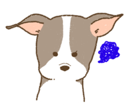 Italian Greyhound<Dog breed> sticker #15045709