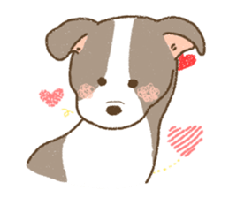 Italian Greyhound<Dog breed> sticker #15045712