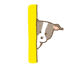 Italian Greyhound<Dog breed> sticker #15045721