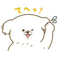 Pekingese<Dog breed>