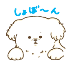 Pekingese<Dog breed> sticker #15045736