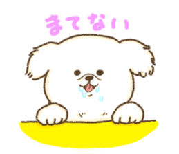 Pekingese<Dog breed> sticker #15045753