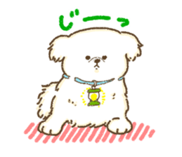 Pekingese<Dog breed> sticker #15045754