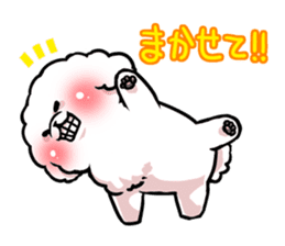 Bichon Frise<Dog breed> sticker #15045991