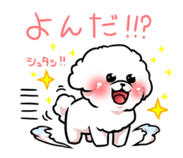 Bichon Frise<Dog breed> sticker #15046001