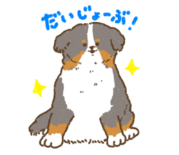Bernese Mountain Dog<Dog breed> sticker #15046358