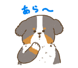 Bernese Mountain Dog<Dog breed> sticker #15046364