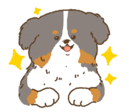 Bernese Mountain Dog<Dog breed> sticker #15046365