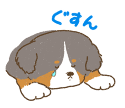 Bernese Mountain Dog<Dog breed> sticker #15046366