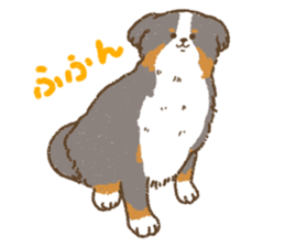 Bernese Mountain Dog<Dog breed> sticker #15046367