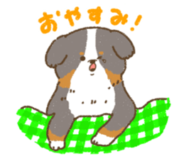 Bernese Mountain Dog<Dog breed> sticker #15046368