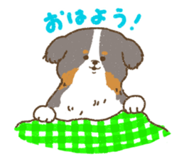 Bernese Mountain Dog<Dog breed> sticker #15046369