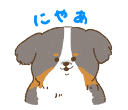 Bernese Mountain Dog<Dog breed> sticker #15046370