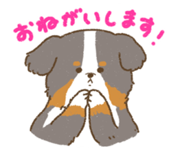 Bernese Mountain Dog<Dog breed> sticker #15046373