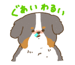 Bernese Mountain Dog<Dog breed> sticker #15046381