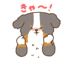 Bernese Mountain Dog<Dog breed> sticker #15046384