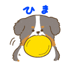 Bernese Mountain Dog<Dog breed> sticker #15046390