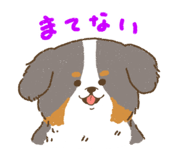 Bernese Mountain Dog<Dog breed> sticker #15046391