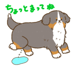 Bernese Mountain Dog<Dog breed> sticker #15046393