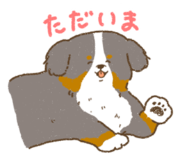 Bernese Mountain Dog<Dog breed> sticker #15046395