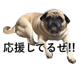 Dog Sticker Collection sticker #15047177