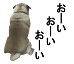 Dog Sticker Collection sticker #15047180