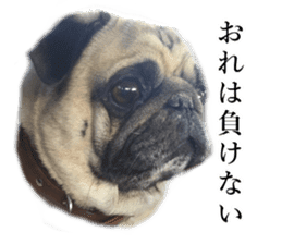 Dog Sticker Collection sticker #15047183