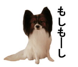 Dog Sticker Collection sticker #15047185