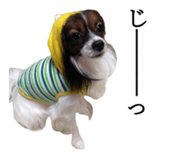 Dog Sticker Collection sticker #15047186