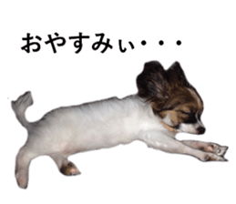 Dog Sticker Collection sticker #15047187