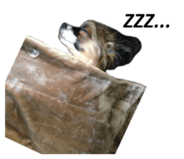 Dog Sticker Collection sticker #15047188