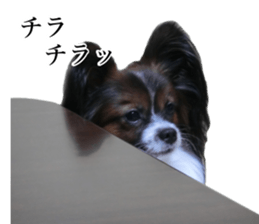 Dog Sticker Collection sticker #15047193