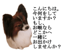 Dog Sticker Collection sticker #15047194