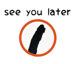 A miniature dachshund KOHARU English.ver sticker #15047366