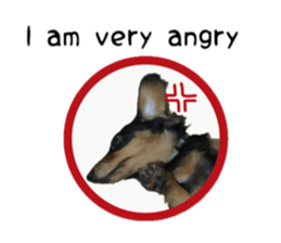 A miniature dachshund KOHARU English.ver sticker #15047371