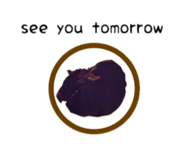 A miniature dachshund KOHARU English.ver sticker #15047374