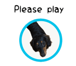 A miniature dachshund KOHARU English.ver sticker #15047380