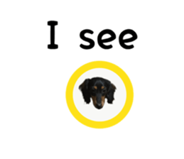 A miniature dachshund KOHARU English.ver sticker #15047385