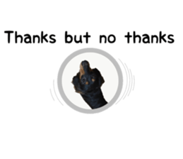 A miniature dachshund KOHARU English.ver sticker #15047391