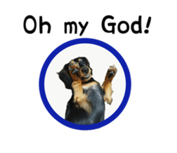 A miniature dachshund KOHARU English.ver sticker #15047393