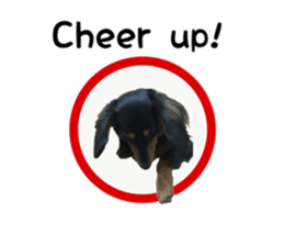 A miniature dachshund KOHARU English.ver sticker #15047395