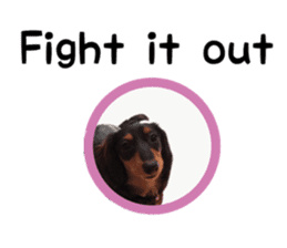 A miniature dachshund KOHARU English.ver sticker #15047396