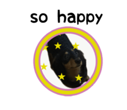 A miniature dachshund KOHARU English.ver sticker #15047399