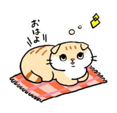 Scottish Fold<Cat sticker> sticker #15048164