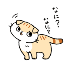 Scottish Fold<Cat sticker> sticker #15048165