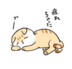 Scottish Fold<Cat sticker> sticker #15048184