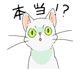 White<Cat sticker> sticker #15048341